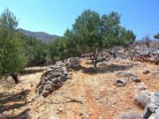 Kato Pine Kreta, Kato Pine: Bauland mit Panoramablick und Baugenehmigung zu verkaufen Grundstück kaufen